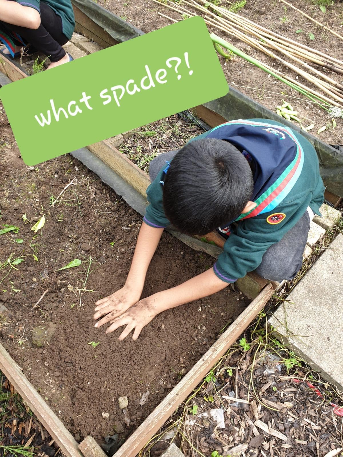 Scouts digging in the garden